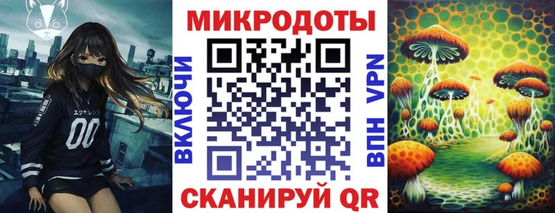 Псилоцибиновые грибы Cubensis  как найти   Курск 