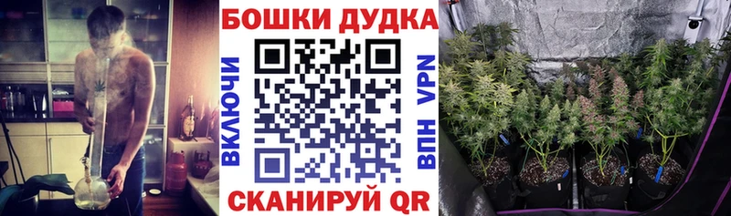 Конопля сатива Курск
